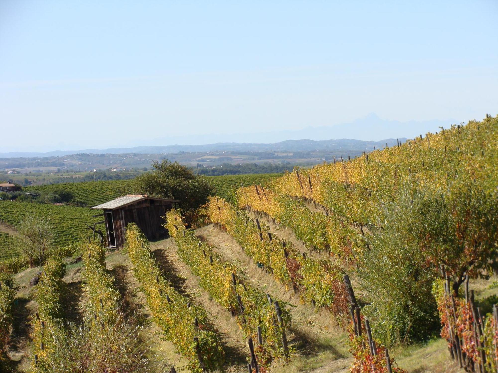 Agriturismo Cascina Degli Ulivi Нови-Лигуре Экстерьер фото