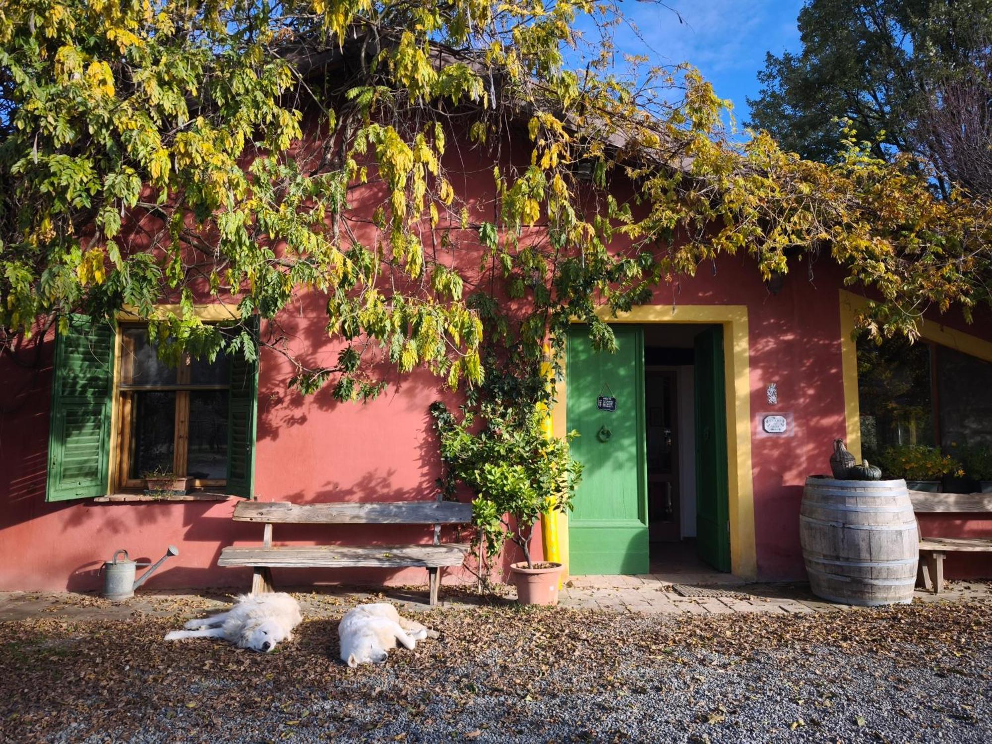 Agriturismo Cascina Degli Ulivi Нови-Лигуре Экстерьер фото